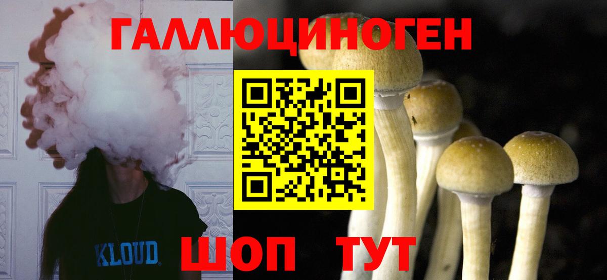 Галлюциногенные грибы мицелий  Вход с VPN  цена   Семёнов 